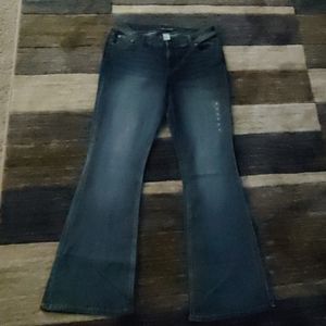 Maurice Jeans- Brand New